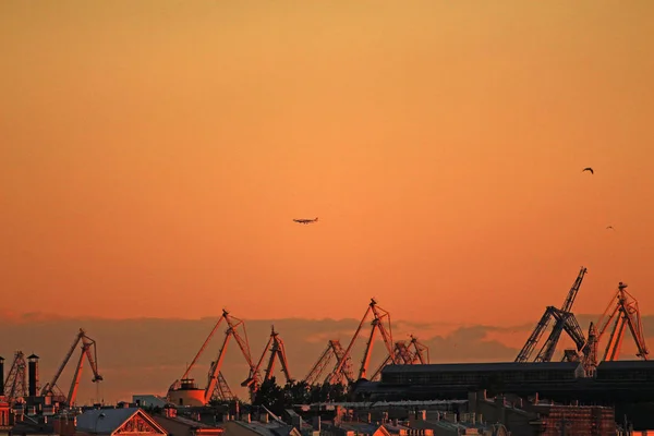 airplane and bird over the port cranes at sunset