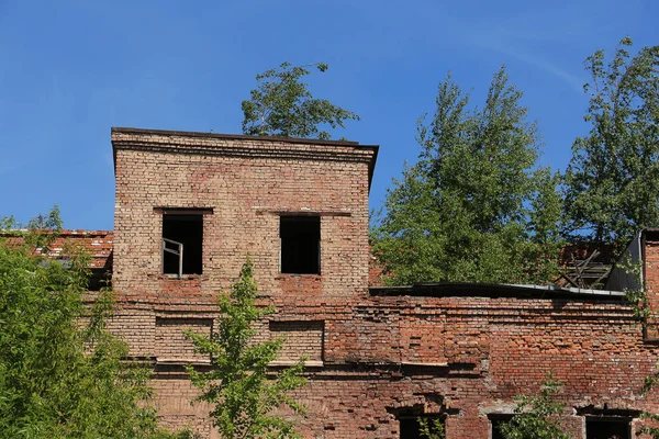 Oude Verlaten Bakstenen Gebouw Begroeid Met Bomen — Stockfoto