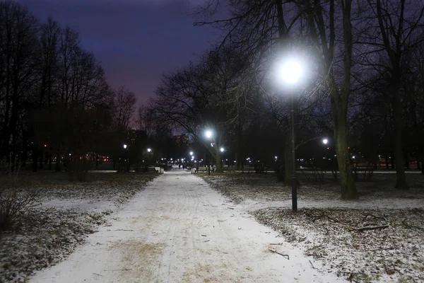 Parque Invierno Con Faroles Iluminando Senderos Cubiertos Nieve — Foto de Stock