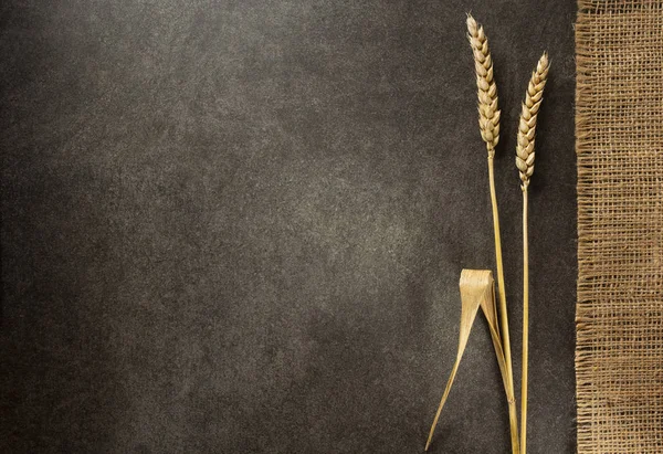 Ahşap üzerine buğday Başak — Stok fotoğraf