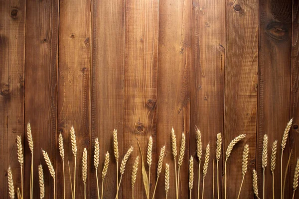 Grains de blé sur bois — Photo