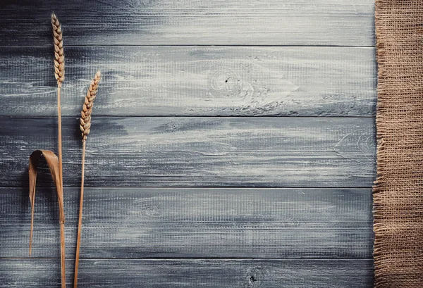 Oren van tarwe op hout — Stockfoto
