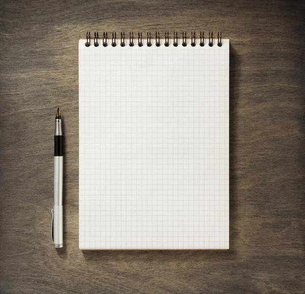 Rutig anteckningsbok och penna — Stockfoto