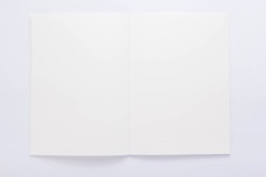 beyaz arkaplanda not defteri ya da defter kağıdı
