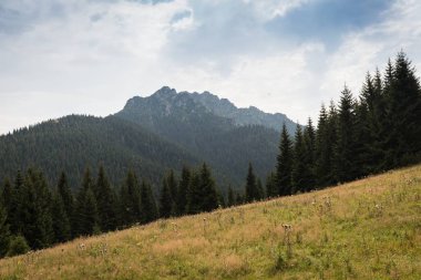 Yaz aylarında romantik dağ manzarası
