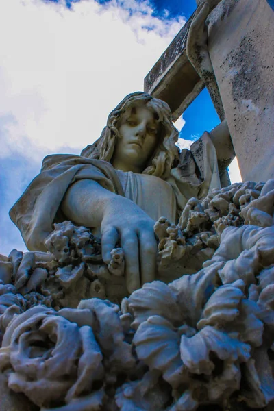Splendida Vergine Circondata Cielo Blu Con Fiori Che Prendono Cura — Foto Stock