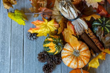 Yaprakları, kabakları, kurutulmuş mısırları ve kabakları olan Autum Arkaplanı.