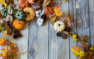 Yaprakları, kabakları ve kabakları olan Autum Arkaplanı.