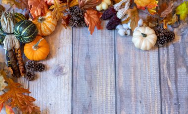 Yaprakları, kabakları ve kabakları olan Autum Arkaplanı.