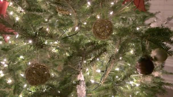 クリスマス ツリーのライトや装飾品 — ストック動画