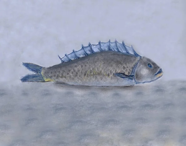 Ein liegender Fisch, gezeichnet durch weiches Pastell auf grauem Hintergrund. — Stockfoto