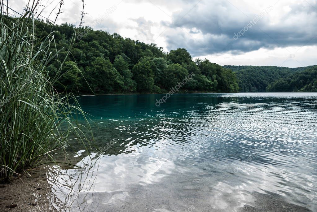 A beautiful view of a clear turquoise lake surrounded by high grass and green trees, Croatia.