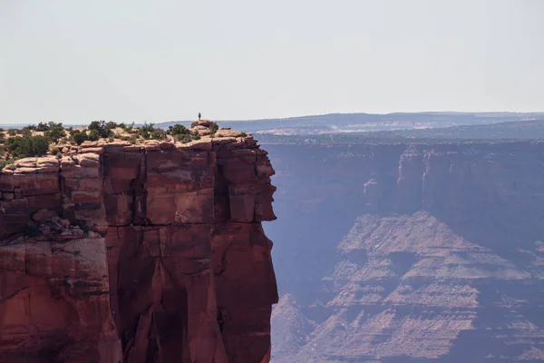 Ölü At Noktası Eyalet Parkı 'ndaki kanyonun tepesindeki kayanın kenarındaki adam. Kanyonlar, Utah