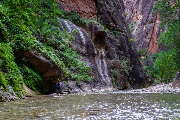 Kadın Zion Ulusal Parkı 'ndaki Bakire Nehri' nde yürüyüş yapıyor.