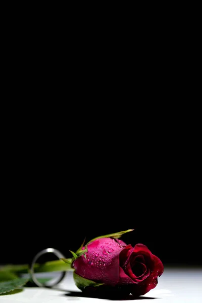 Pôr Anel Encantador Rosa — Fotografia de Stock