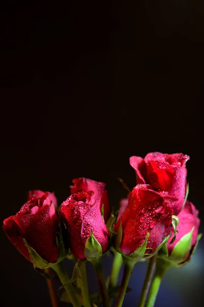 美丽的玫瑰花束在黑暗的背景 — 图库照片