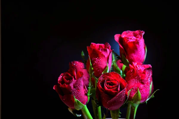 Schöne Rosen Strauß Auf Dunklem Hintergrund — Stockfoto