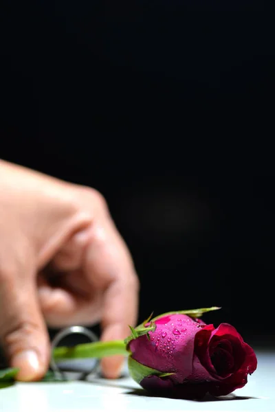 Schöner Ring Für Die Rose — Stockfoto