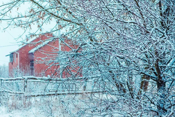 Winter day, snow, deer, house, fence_ — Stock fotografie