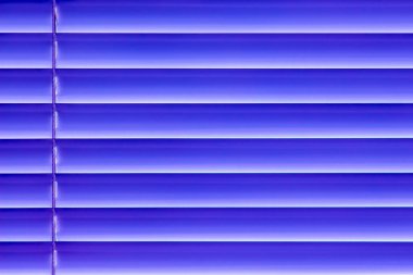blue horizontal blinds on the window create a rhythm_