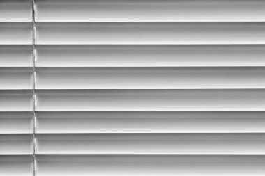 white horizontal blinds on the window create a rhythm_