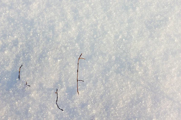 Texture de blanc avec une nuance bleue de neige, ci-dessous est visible sec — Photo