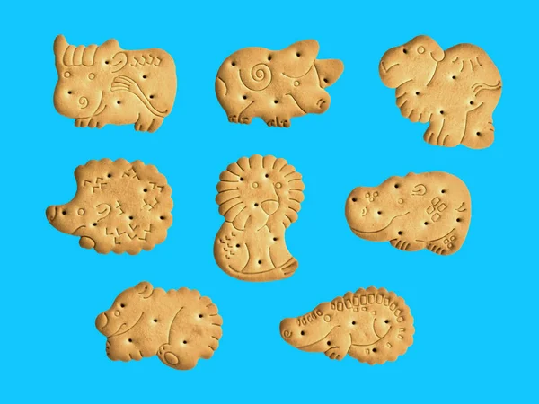 Biscoitos na forma de animais engraçados, boa diversão para crianças _ — Fotografia de Stock