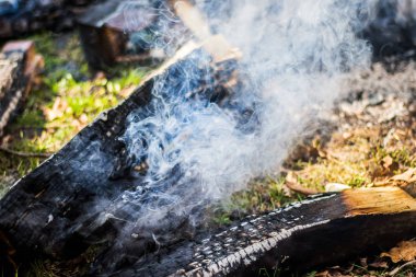 Scorched firewood and smoke from the fire. Outdoor recreation_