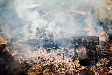 Smoke from  hearth. Structure of smoke for design projects_