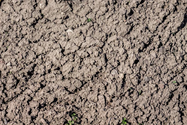 Tekstur dari tanah kering. Tanah kering selama kekeringan _ — Stok Foto