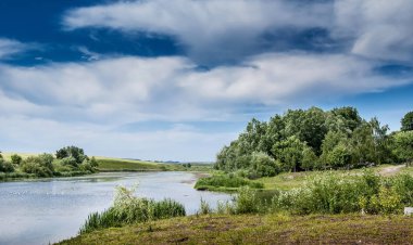 Trees and greens near  river on  bright summer day_