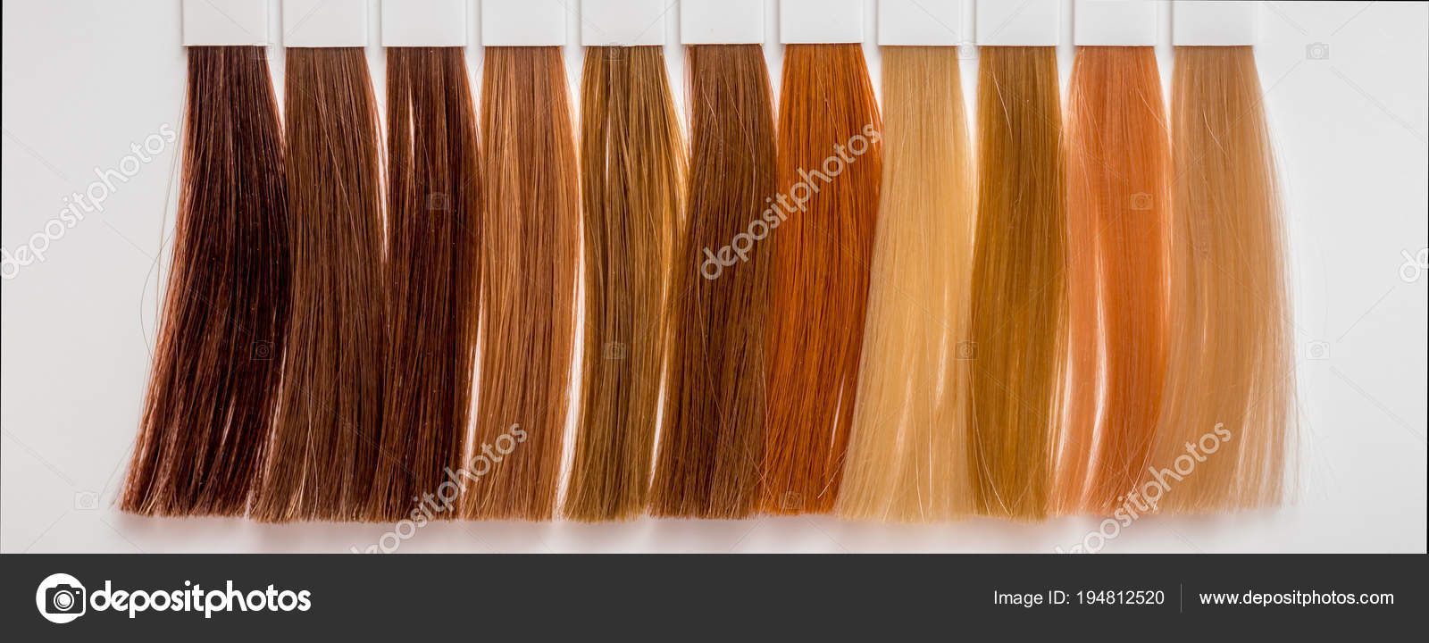 Poudre de cheveux dans le peigne fermeture Photographie Poudre de cheveux dans le peigne fermeture Photographie