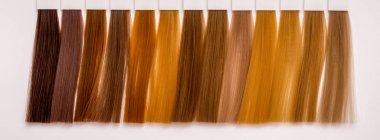 Hair styles of various shades for  right choice of color when co clipart
