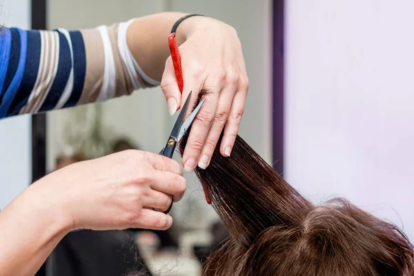 O cabeleireiro faz o penteado da mulher. Negócios em campo — Fotografia de Stock