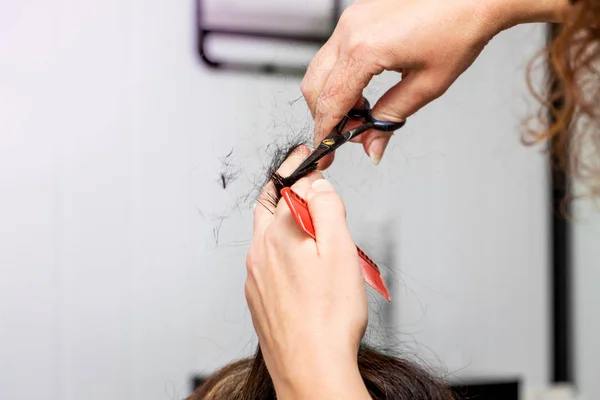 Cabeleireiro faz penteado para a mulher. Mãos de cabeleireiro wi — Fotografia de Stock