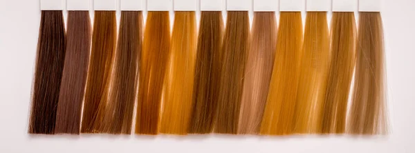 Hair styles of various shades for  right choice of color when co — Stock Photo, Image