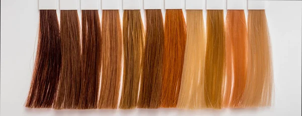 Samples of hair of different colors for dyeing in hairdressing s — Stock Photo, Image
