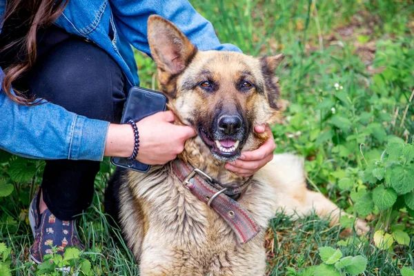 Girl and her favorite dog  German shepherd in a park while on re — Stock Photo, Image