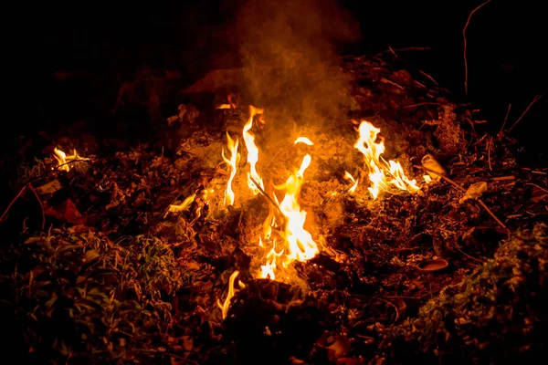 Big fire at night. Fire burns everything around_ — Stock Photo, Image