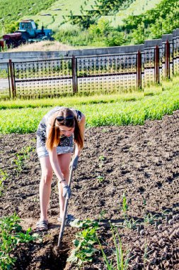 Genç bir kadın tarlada yabani otları topluyor.