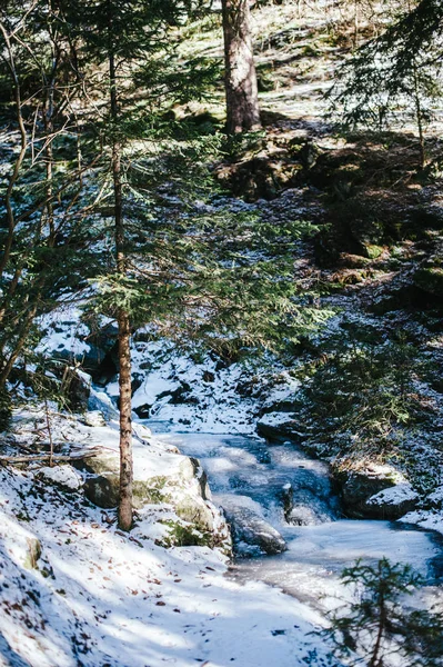 雪の上で山の森冷凍クリークで — ストック写真