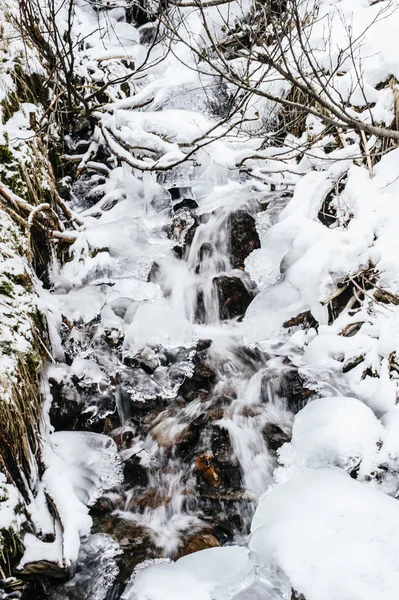 渓流、凍結、雪の森の中で — ストック写真