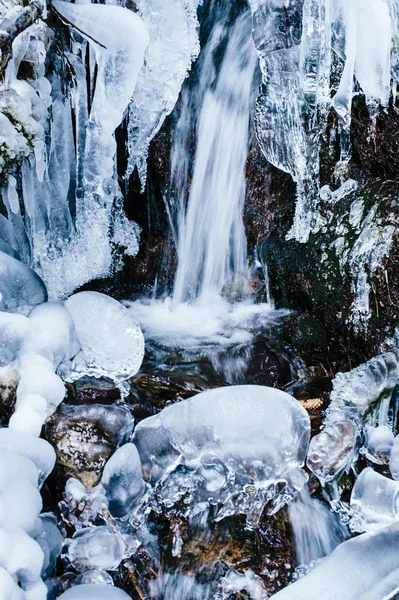渓流、凍結、雪の森の中で — ストック写真