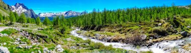 mountain panorama with torrent full of water in summer Alpe Deve clipart