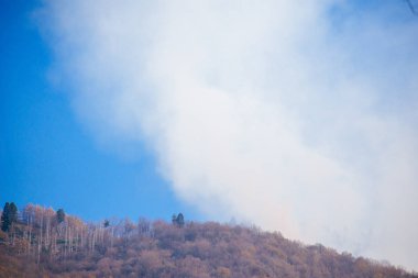 Orman yangını yüzünden çok duman çıkıyor.