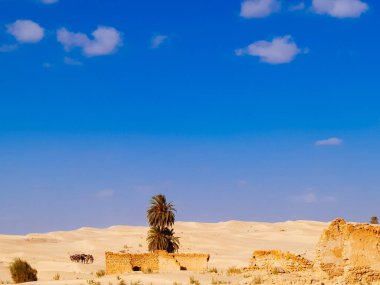 Sahra Çölü, mavi gökyüzü, Douz Tunus Afrika yakınındaki kumulları