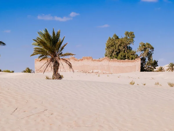 kum tepeleri yakınındaki Douz Tunus Afrika Sahra Çölü'nde