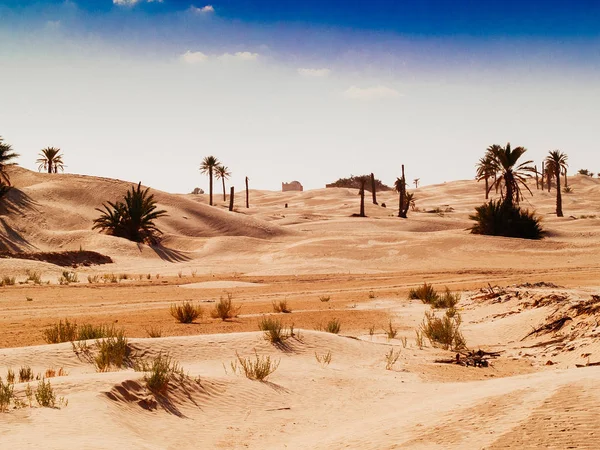 Песчаные дюны в пустыне Сахара недалеко от Дуз Тунис Африка — стоковое фото