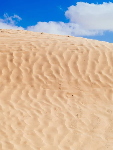 Wydmy pustyni sahara w pobliżu Douz Tunezja Afryka — Zdjęcie stockowe