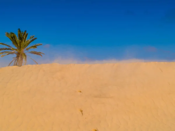 Sanddünen in der Sahara in der Nähe von douz tunisia africa — Stockfoto